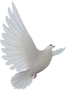 франшиза цена франшизы в россии